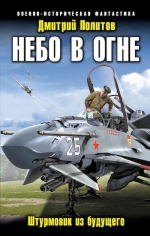 Политов Д.В.. Небо в огне. Штурмовик из будущего