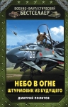 Политов Д.В.. Небо в огне. Штурмовик из будущего