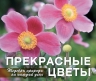 Прекрасные цветы. Шедевры природы на каждый день