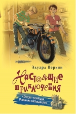 Веркин Э.. «Пчела-убийца». Гонки на мотоциклах