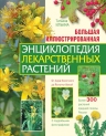 Ильина Т.А.. Большая иллюстрированная энциклопедия лекарственных растений