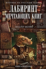 Моэрс В.. Лабиринт Мечтающих Книг