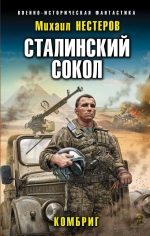 Нестеров М.. Сталинский сокол. Комбриг